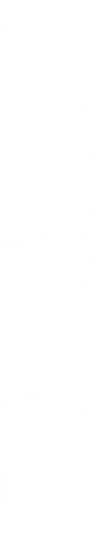 第62屆金馬獎入圍影片《今天應該很高興》片頭
